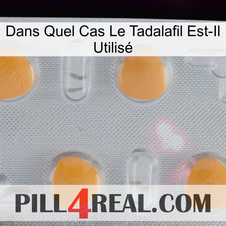 Dans Quel Cas Le Tadalafil Est-Il Utilisé 24